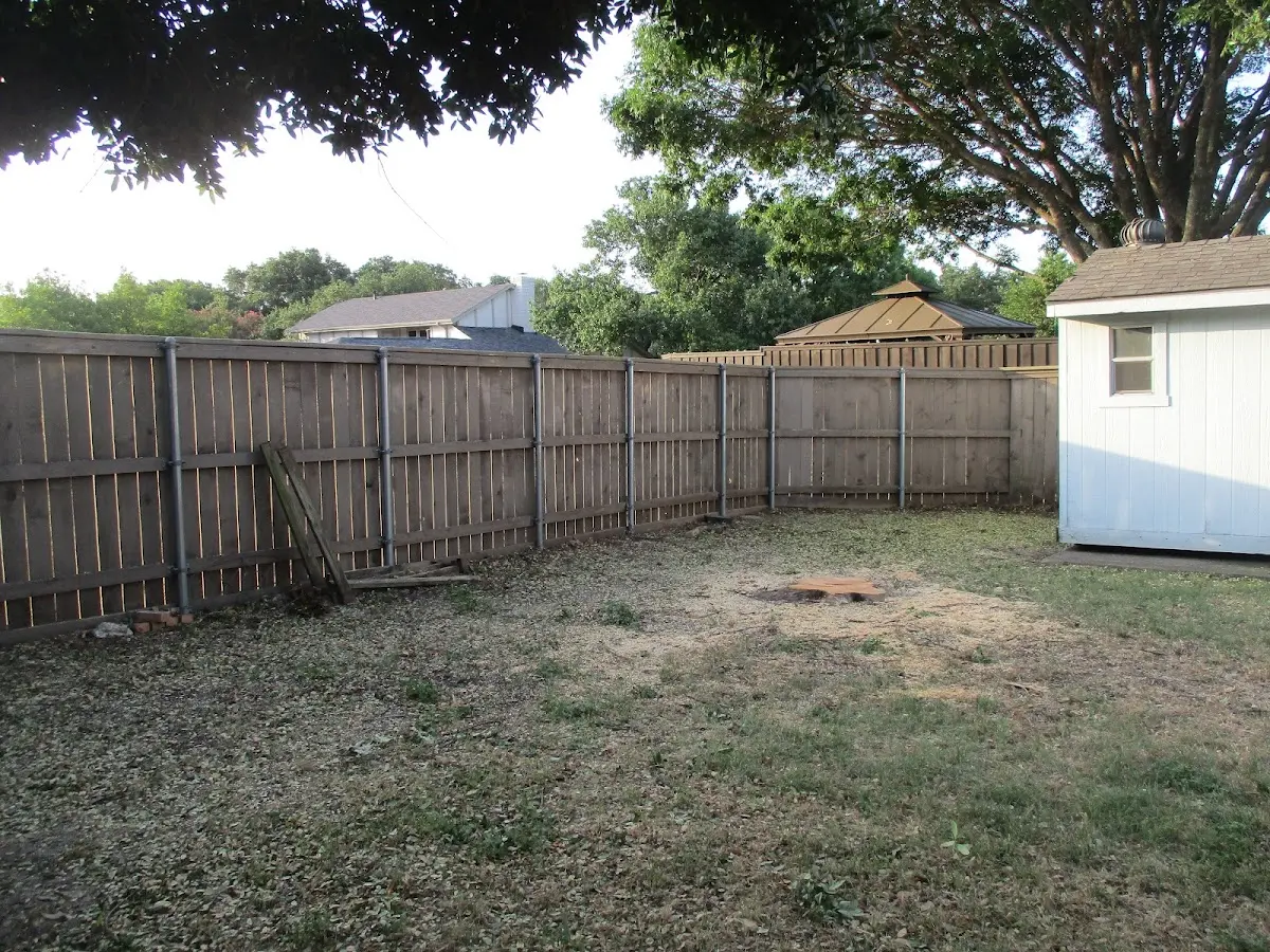 Cleared yard after professional tree removal in Rainier